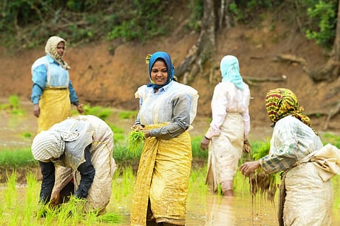 Photo: iStock