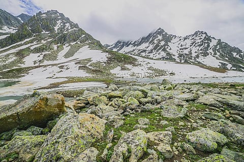 Photo: iStock