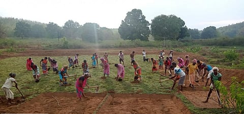 Labourers engaged in MGNREGA project in Kandhamal district, Odisha. Photo: Hrusikesh Mohanty