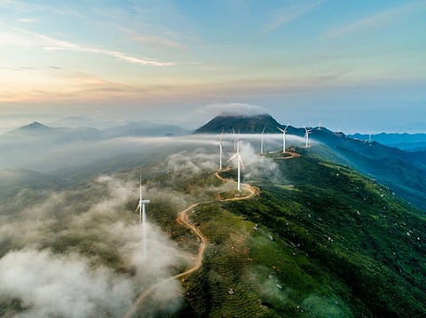 Photo: iStock