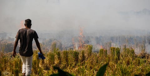 A farmer sets paddy stubble on fire in Palasaur village of Punjab’s Tarn Taran district. Photo: Vikas Choudhary / CSE 
