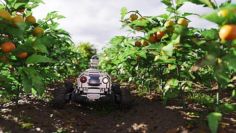 Photo: iStock
