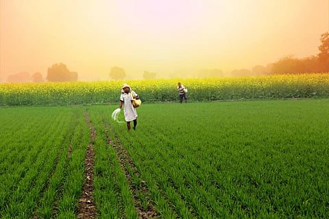 Photo: iStock