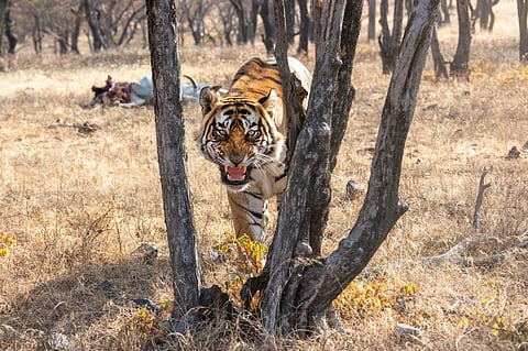 Photo: iStock