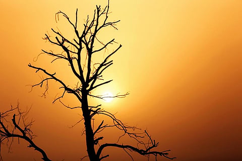 Photo: iStock