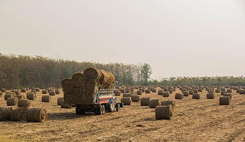 Photo: iStock