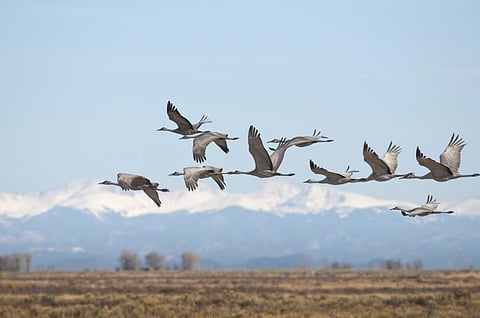 Photo: iStock