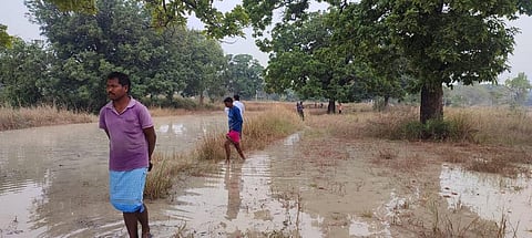 The scene in the affected area. Photo: By special arrangement