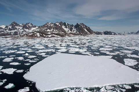Photo: iStock