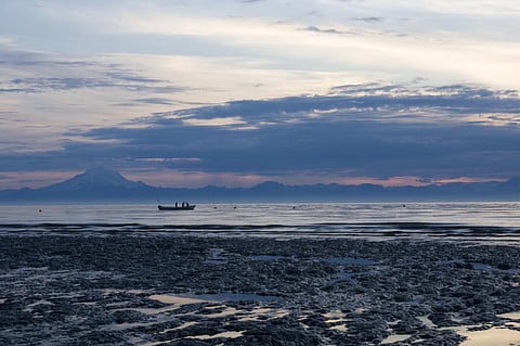 Photo: iStock