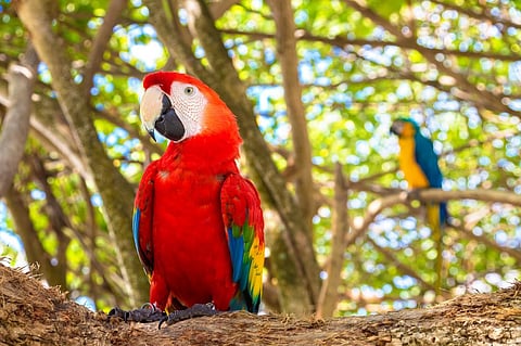 Photo: iStock