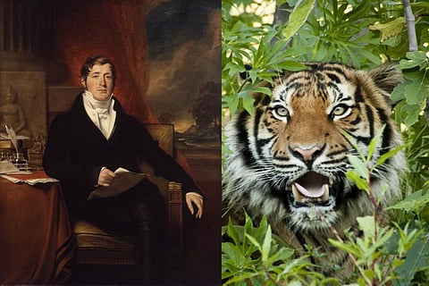 Sir Thomas Stamford Raffles (Left) and a Malayan Tiger (Right). Collage by Ajit Bajaj / CSE
