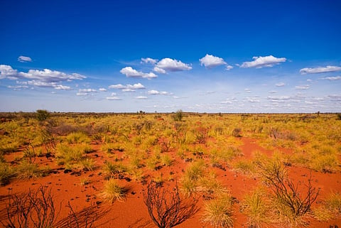 Photo: iStock