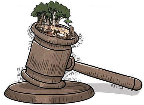 Illustration: Yogendra Anand / CSE