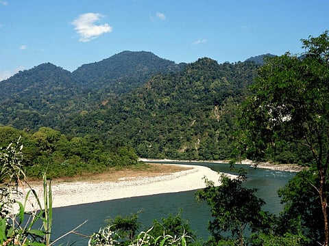Manas National Park in Assam, India. Photo: iStock
