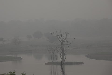 Delhi has shown just a 4 per cent improvement in the last five years. File photo: Vikas Choudhary / CSE