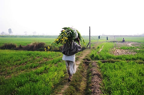 Photo: iStock