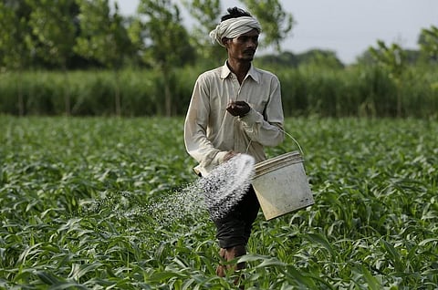भारत में कृषि उत्सर्जन के कई कारण हैं। फोटो: विकास चौधरी 