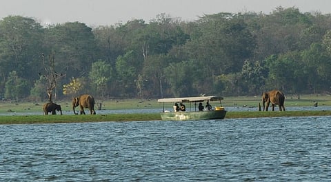 Kabini River, one of the major tributaries of Cauvery river in southern India. Photo: Coovercolly Indresh 