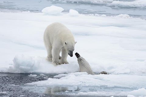Photo: iStock