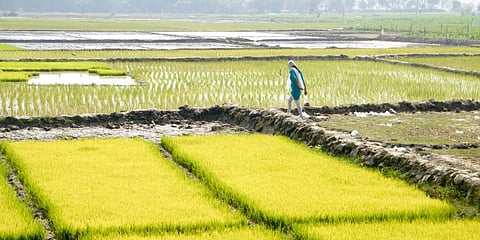 Photo: iStock