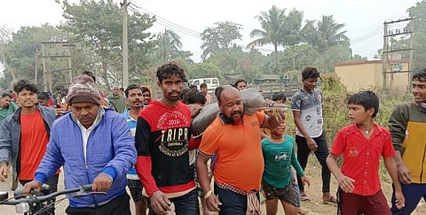 Local fisherman carried the dolphin on their shoulders and released it into the village pond. Photo: Ashis Senapati