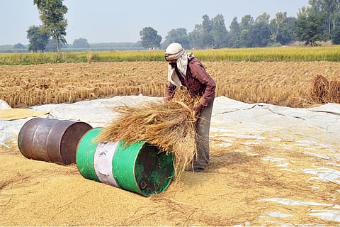 बढ़ते तापमान से जूझते भारतीय किसान; फोटो: आईस्टॉक