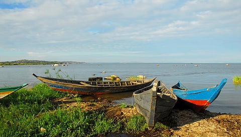 Lake Victoria is one of the world’s largest lakes spanning three African countries. Photo: iStock