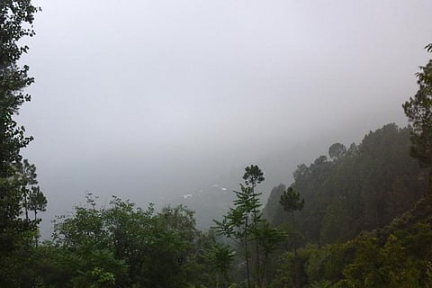 जेट स्ट्रीम हवाओं के कारण उत्तर भारत में शीतलहर का सितम और कोहरे का कहर जारी