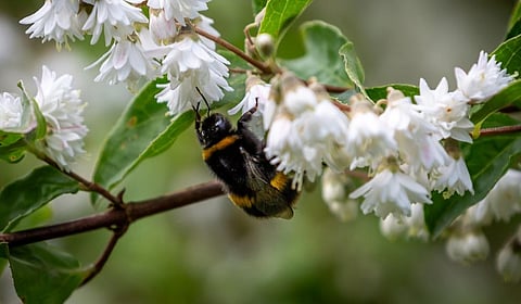 Representative photo from iStock