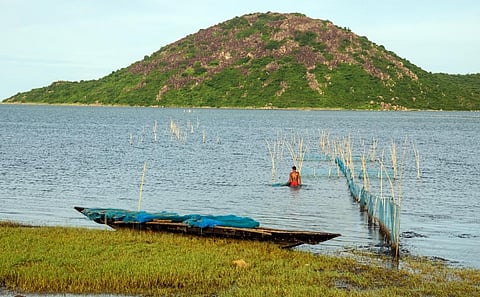 A fisherman in Chilika lake, Odisha. Photo: iStock