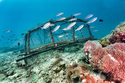 Photo: iStock