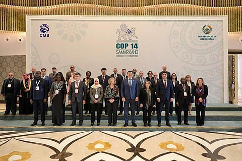 Delegates at the just-concluded CMS COP14. Photo: @un_uzbekistan / X
