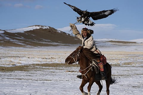 Many migratory birds on the Central Asian Flyway are culturally important for the people who live along the route. For instance, eagles are totems of Steppe peoples ranging from the Mongols to the Turkmen. Here, a Kazakh falconer holds a golden eagle on his arm. Photo: iStock 