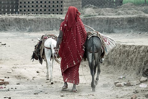 भारत ही नहीं दुनिया के कई अन्य हिस्सों में भी लम्बे समय से गधों को सामान ढोने के लिए इस्तेमाल किया जाता रहा है; फोटो: आईस्टॉक