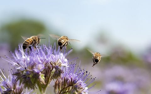 Representational photo from iStock