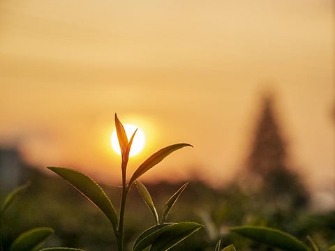 Involvement of farmers in awareness and training activities enhance the ownership and strong commitment to undertake resilient agriculture practices. Photo for representation: iStock