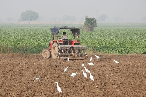 बीज बोने से पहले खेत की जुताई करता किसान, फोटो साभार : विकिमीडिया कॉमन्स, डॉ. राजू कासाम्बे