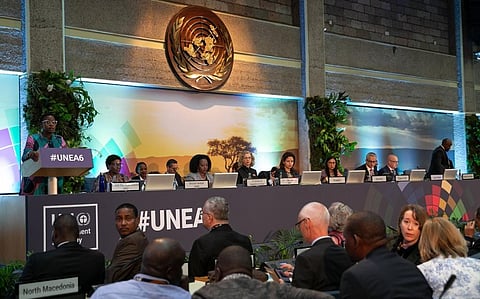A photograph shared by UNEP Executive Director, Inger Andersen on her X account (@andersen_inger)