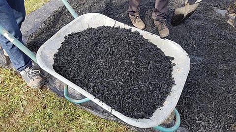 Biochar. Representative photo from iStock