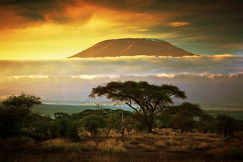 Photo: iStock