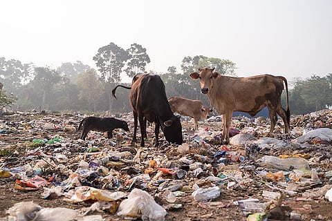 प्रतीकात्मक तस्वीर; फोटो: आईस्टॉक