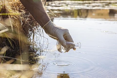 Photo: iStock