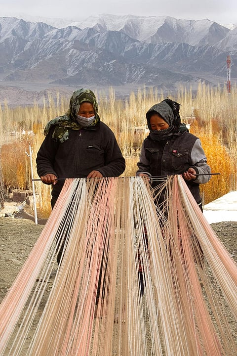 Looms of Ladakh in Leh has 427 women members from various self-help groups across 16 villages and consumes 52 kg of pashmina wool every month  (Photograph courtesy: Looms of Ladakh)