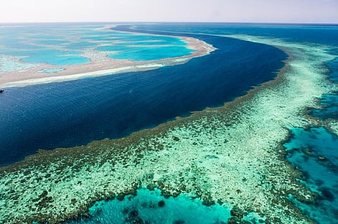 Photo: iStock