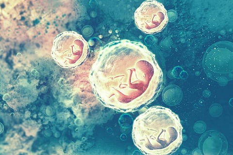 There is a likelihood that microplastics are entering the foetus’ body from the mothers’ placenta. Photo for representation: iStock
