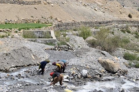 Farmers creating channels to redirect glacial meltwater for field irrigation in Spiti. Photo: Authors 