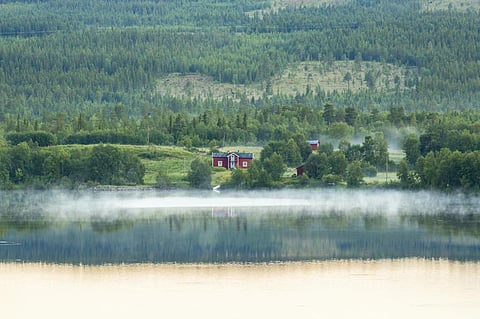 Photo: iStock