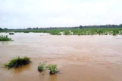 राजस्थान के सीकर, झुंझुनू, नीम का थाना और चुरू से होकर बहने वाली काटली नदी; फोटो: विकिपीडिया
