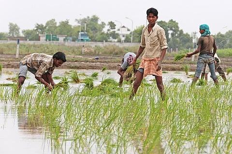 फोटो: विकास चौधरी